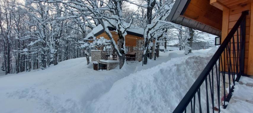 Vila Sun Forest Zabljak  Luaran gambar