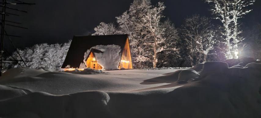 Vila Sun Forest Zabljak  Luaran gambar