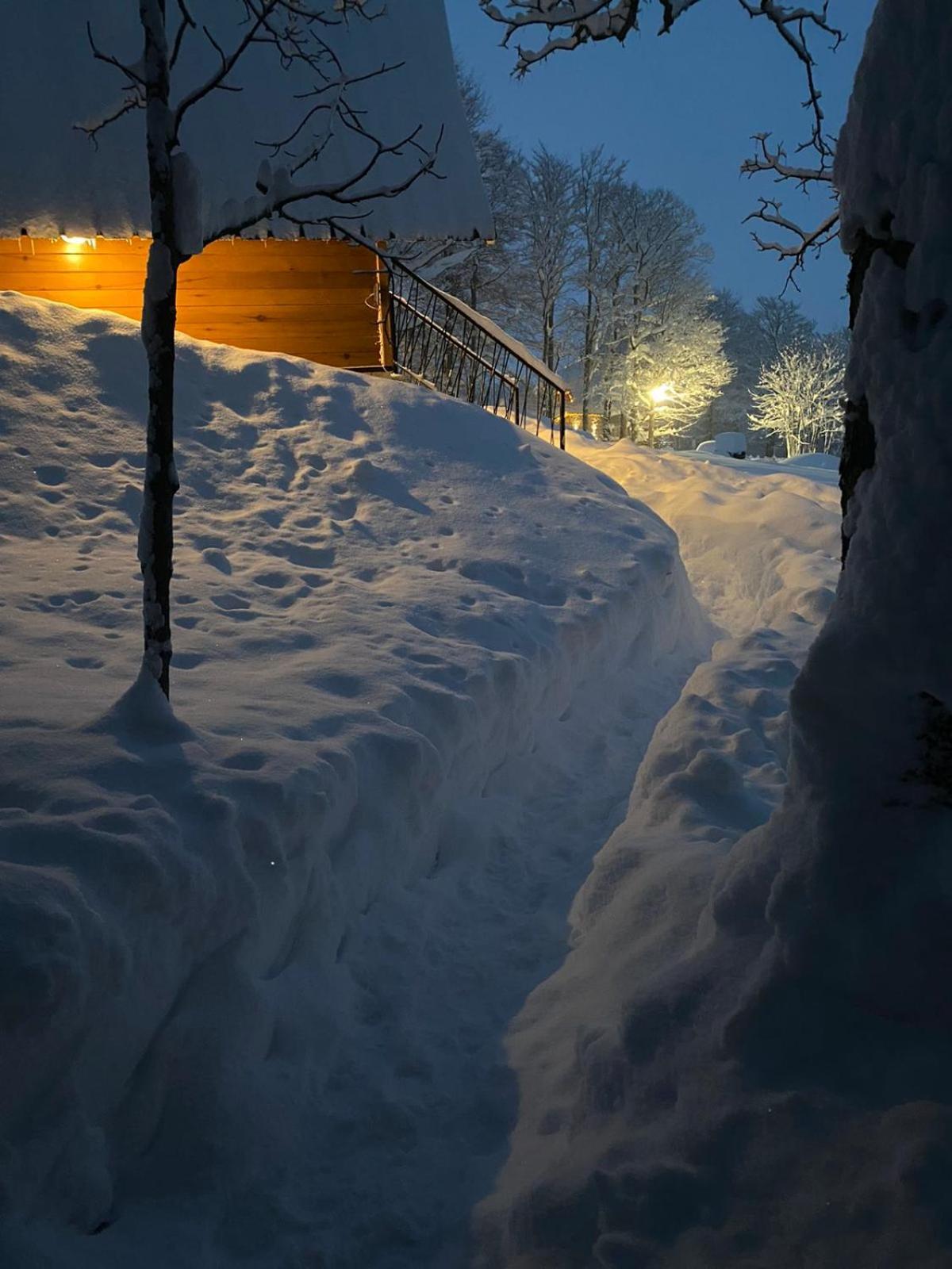 Vila Sun Forest Zabljak  Luaran gambar