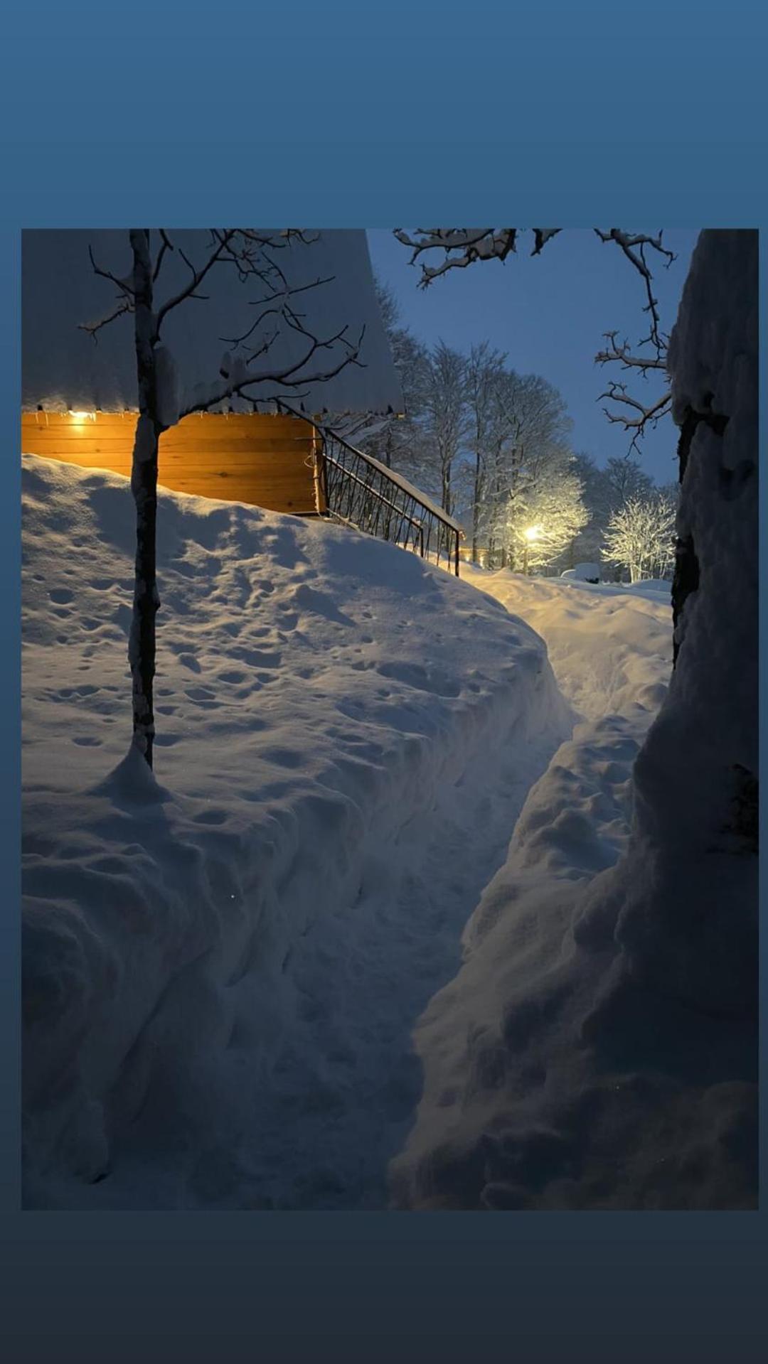 Vila Sun Forest Zabljak  Luaran gambar