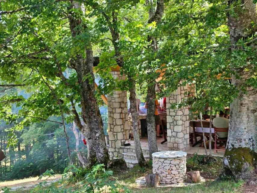 Vila Sun Forest Zabljak  Luaran gambar